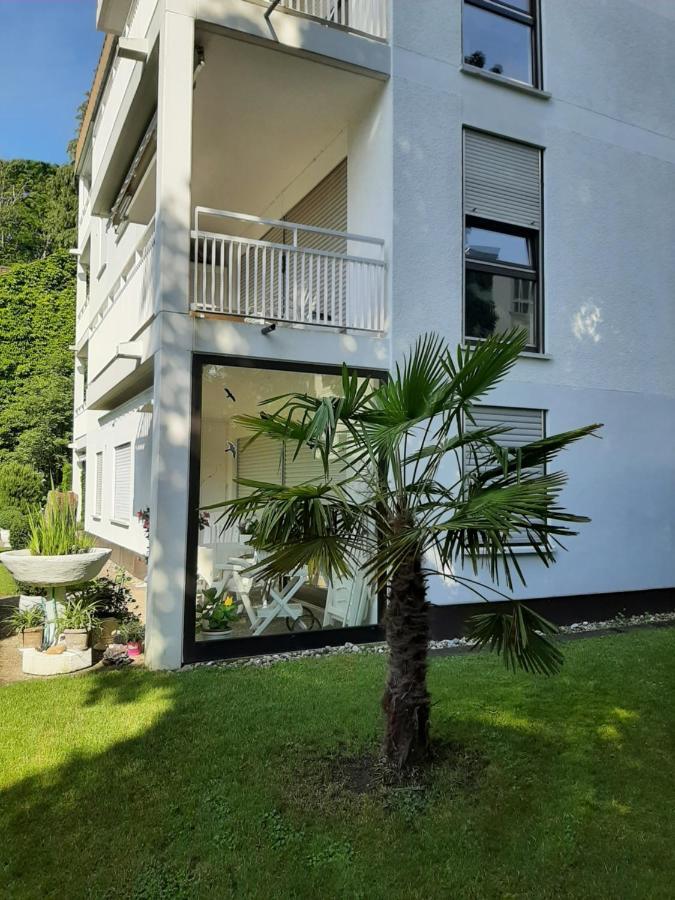 At The Lichtentaler Allee Apartment Μπάντεν-Μπάντεν Εξωτερικό φωτογραφία
