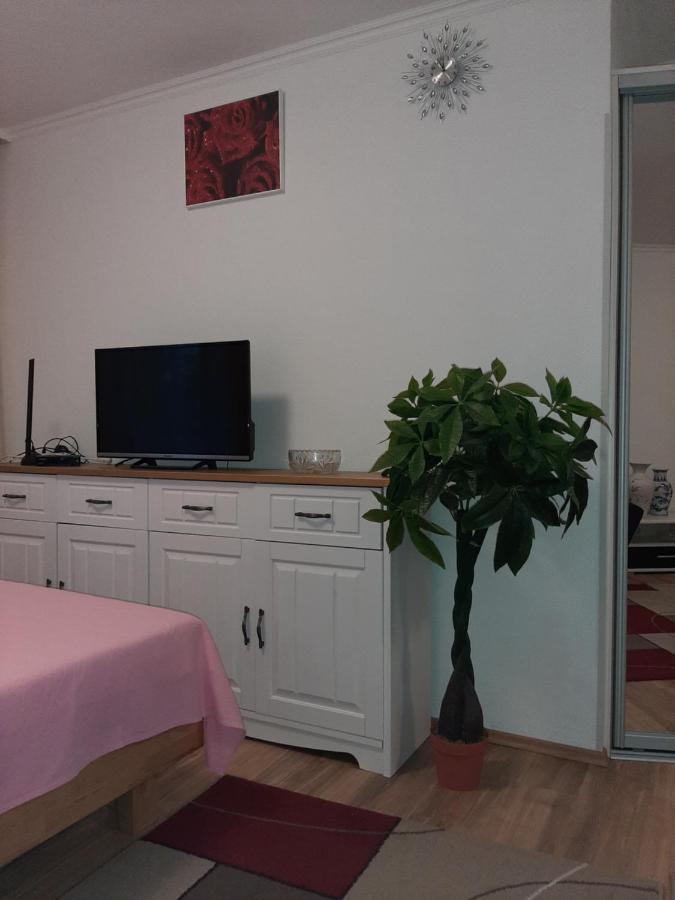 At The Lichtentaler Allee Apartment Μπάντεν-Μπάντεν Εξωτερικό φωτογραφία