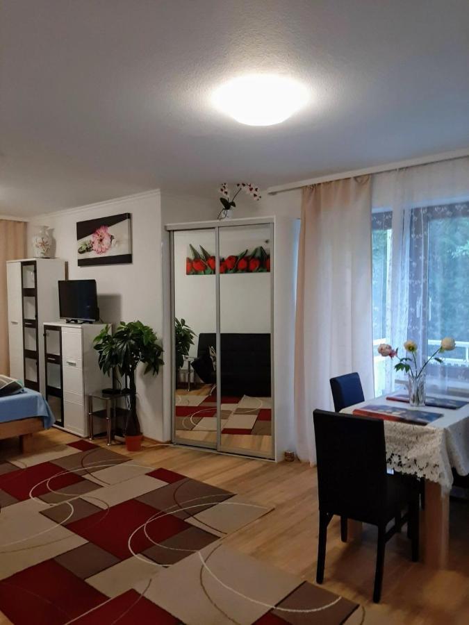 At The Lichtentaler Allee Apartment Μπάντεν-Μπάντεν Δωμάτιο φωτογραφία