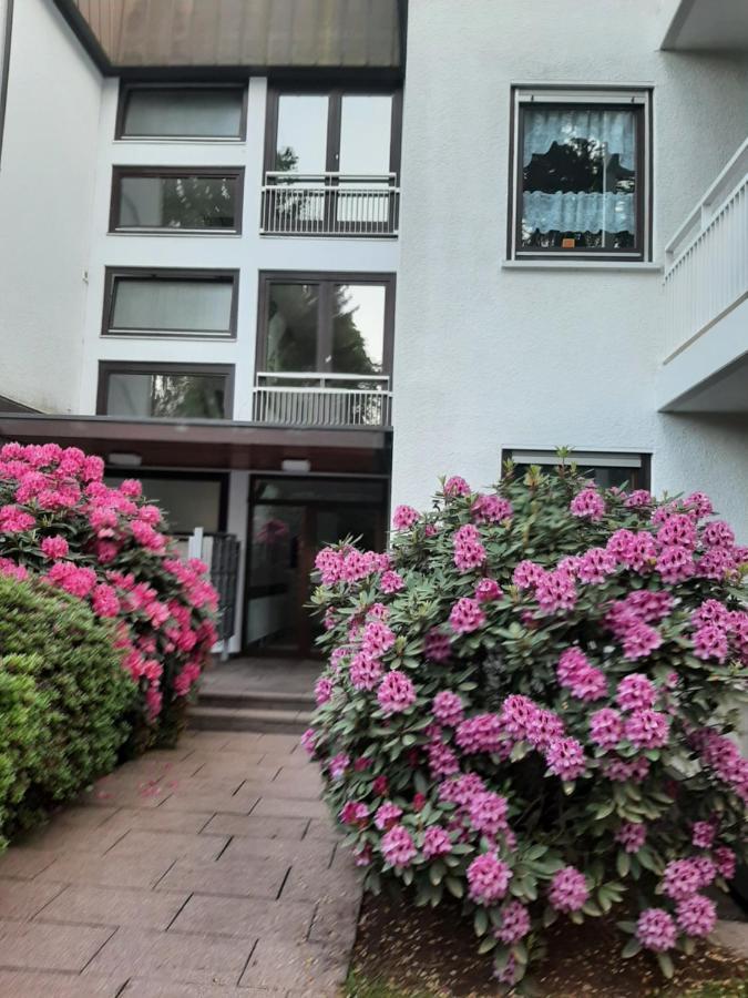 At The Lichtentaler Allee Apartment Μπάντεν-Μπάντεν Εξωτερικό φωτογραφία