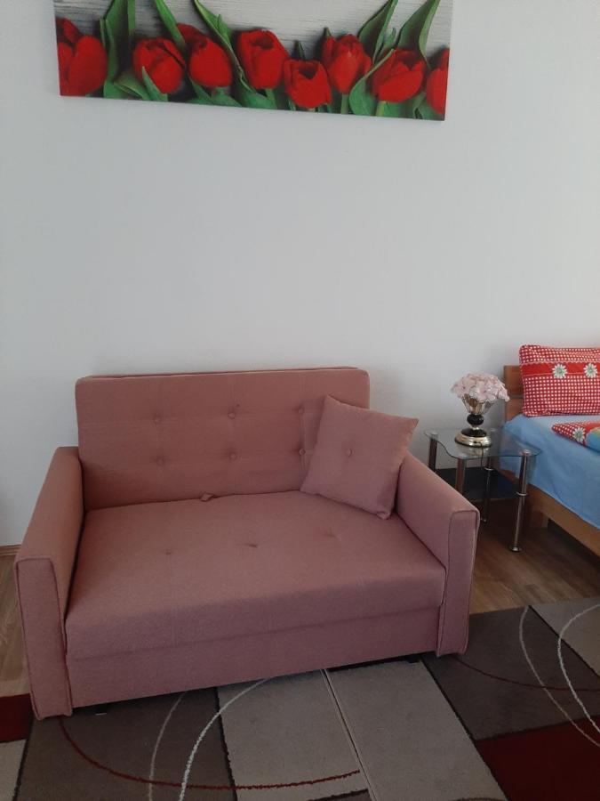 At The Lichtentaler Allee Apartment Μπάντεν-Μπάντεν Εξωτερικό φωτογραφία