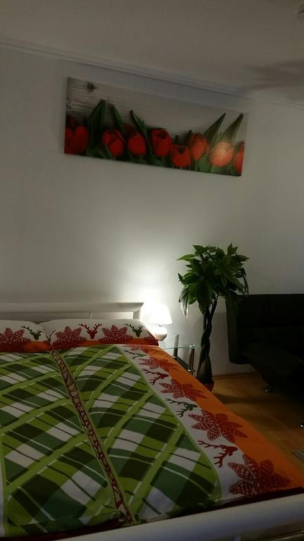 At The Lichtentaler Allee Apartment Μπάντεν-Μπάντεν Εξωτερικό φωτογραφία